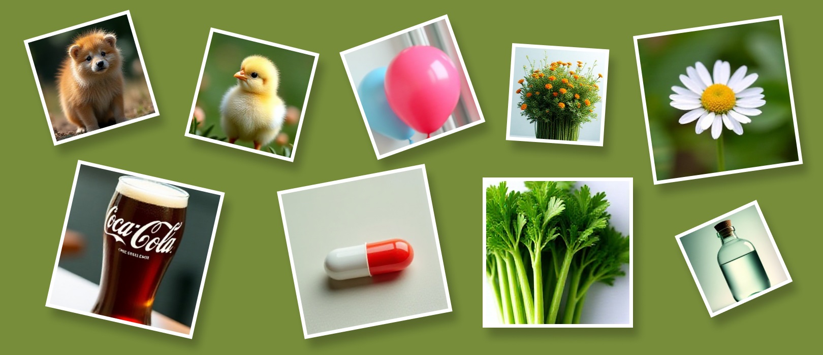 Noun Quiz – Guess the picture!